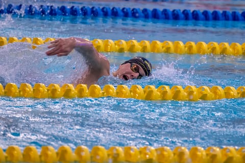 Foto 5 van Guust
